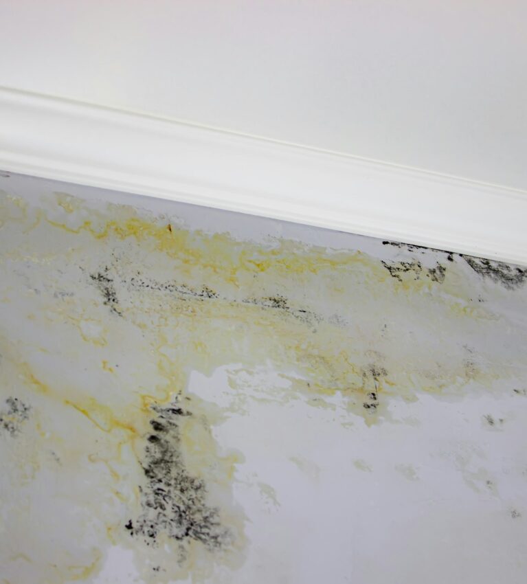 black mold on the wall. Fungus on the wall after the flooding of the house.