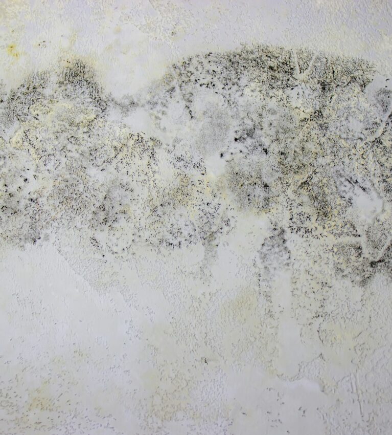 black mold on the wall. Fungus on the wall after the flooding of the house.