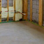 Skimmelsvamp i Kælderen om Sommeren