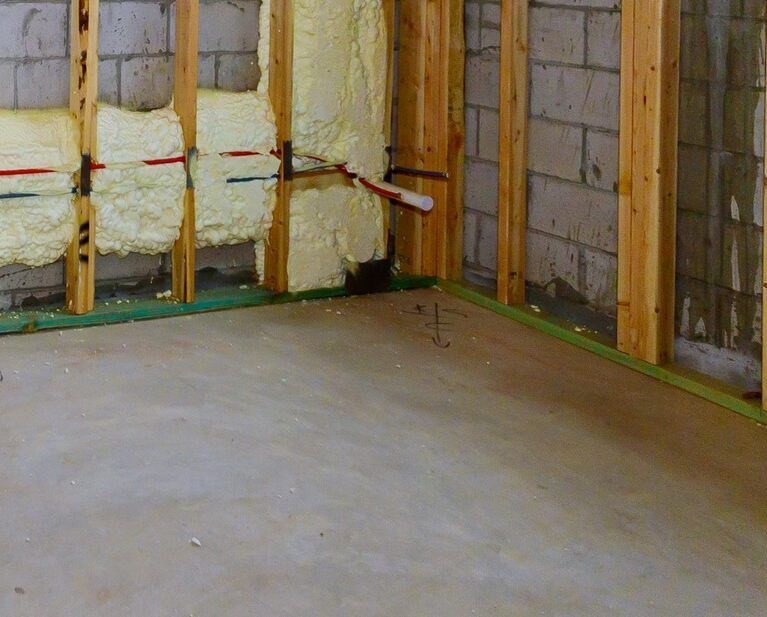 Skimmelsvamp i Kælderen om Sommeren